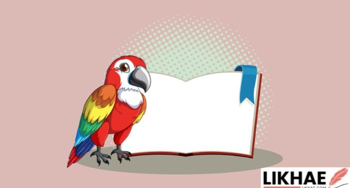 Parrot play book