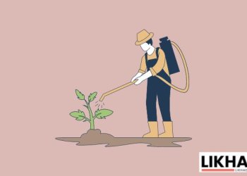 How Dangerous are Pesticides in Food?