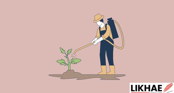 How Dangerous are Pesticides in Food?