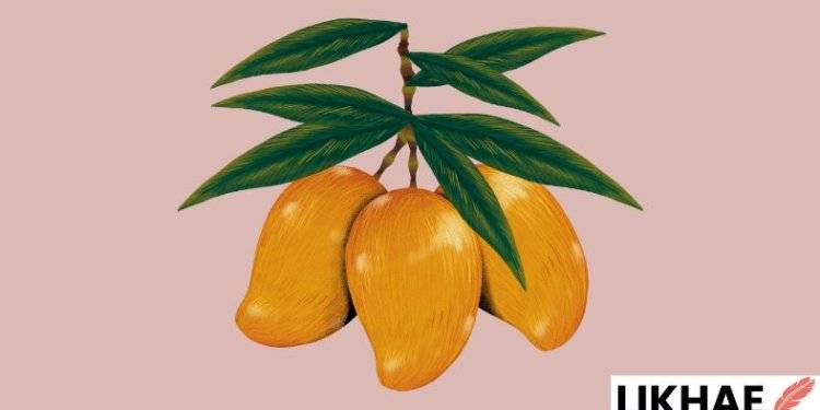 11 Benefits of Eating Mangoes: A Juicy Summer Fruit