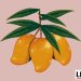 11 Benefits of Eating Mangoes: A Juicy Summer Fruit